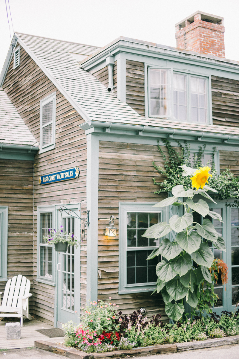 married in maine | ideas for what to do and where to go in Maine during the wedding week