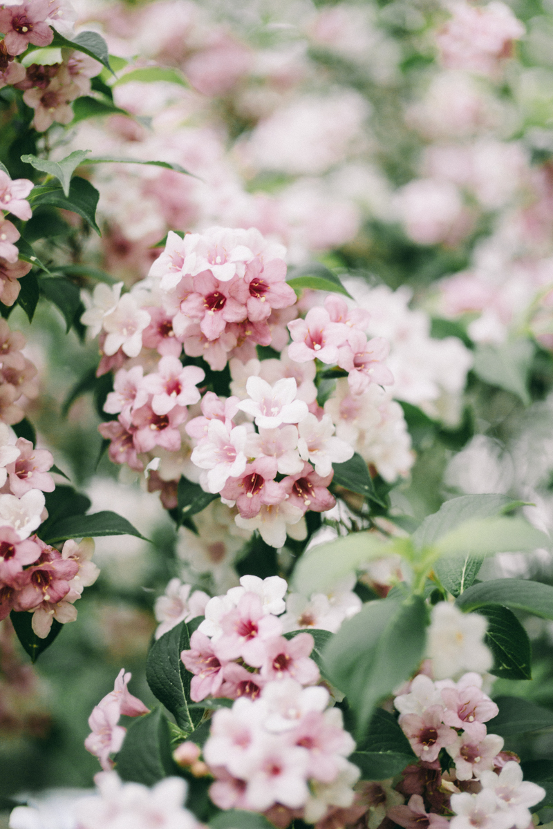 The Edge in Lincolnville Maine Private Estate Wedding