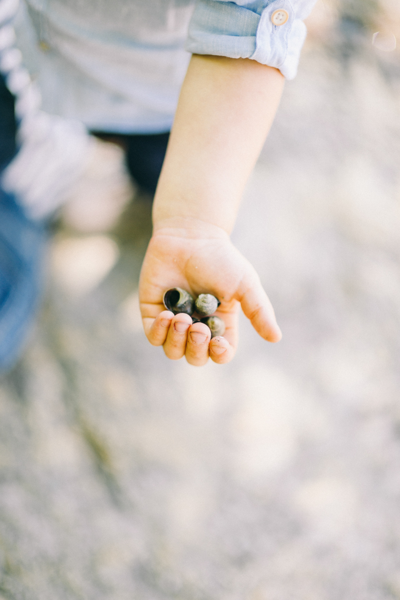 Maine family photographer