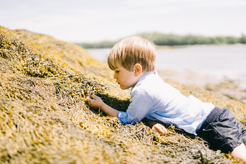 Maine family photographer