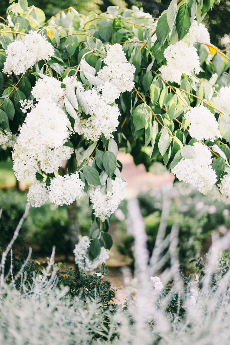 Wequassett Resort Wedding | Cape Cod Luxury Wedding Photographer