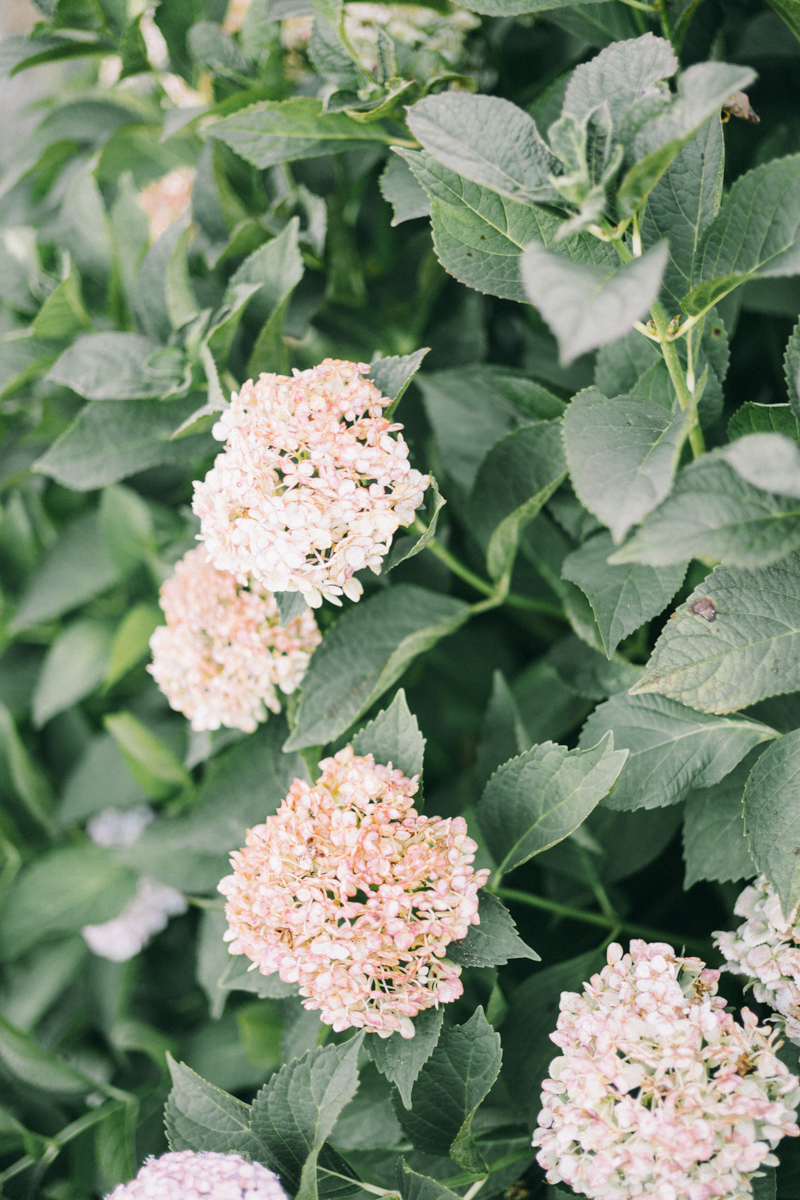 Wequassett Resort Wedding | Cape Cod Luxury Wedding Photographer