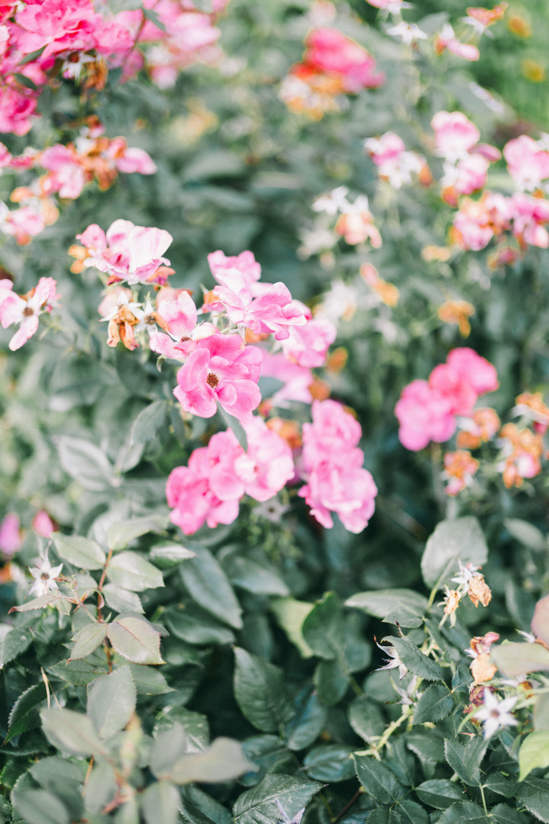 Wequassett Resort Wedding | Cape Cod Luxury Wedding Photographer