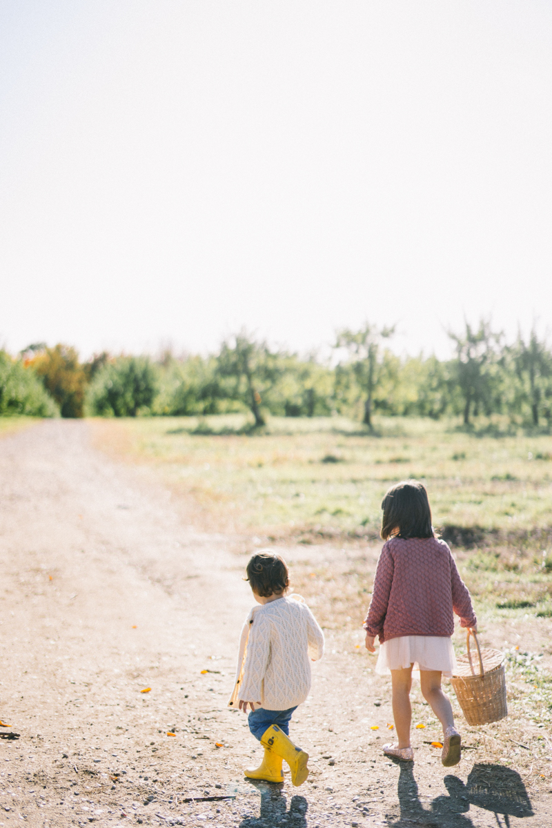 apple picking family portrait session