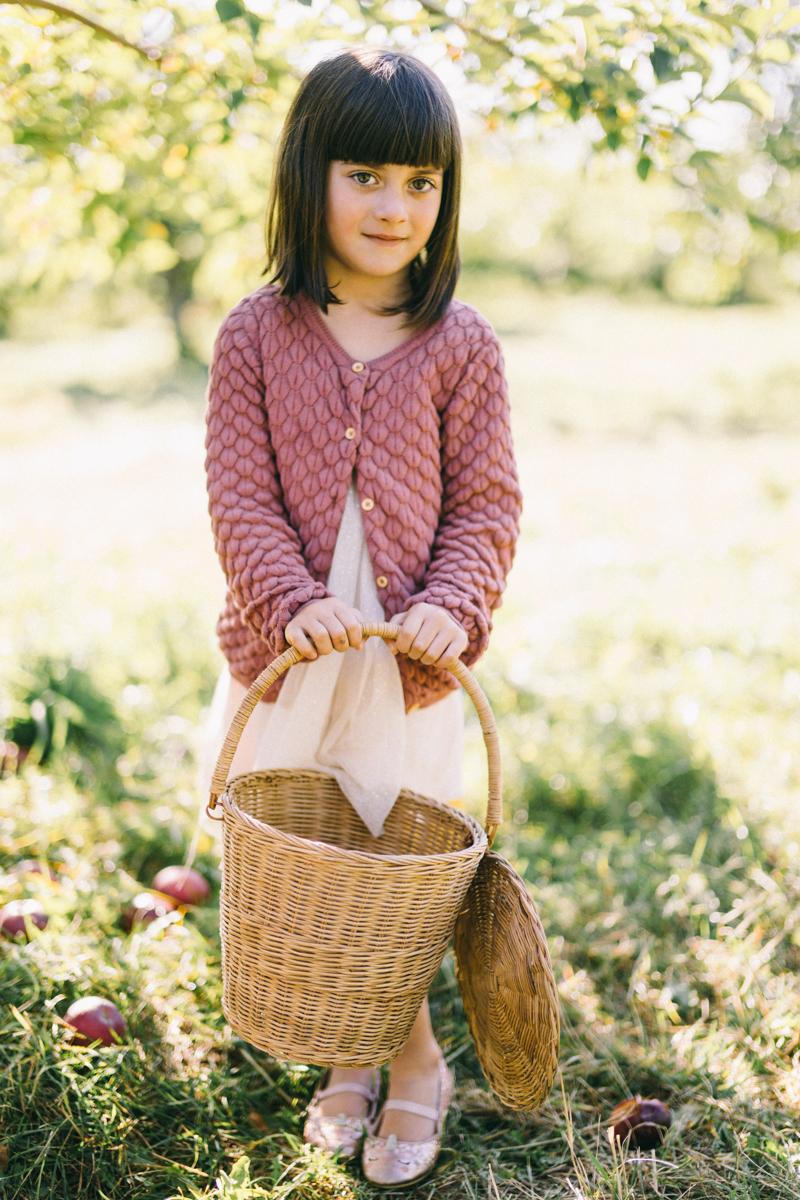 apple picking family portrait session maine