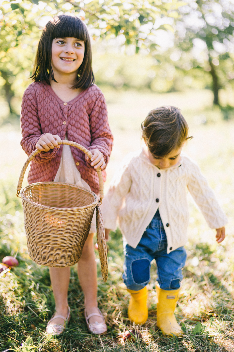 apple picking family portrait session maine