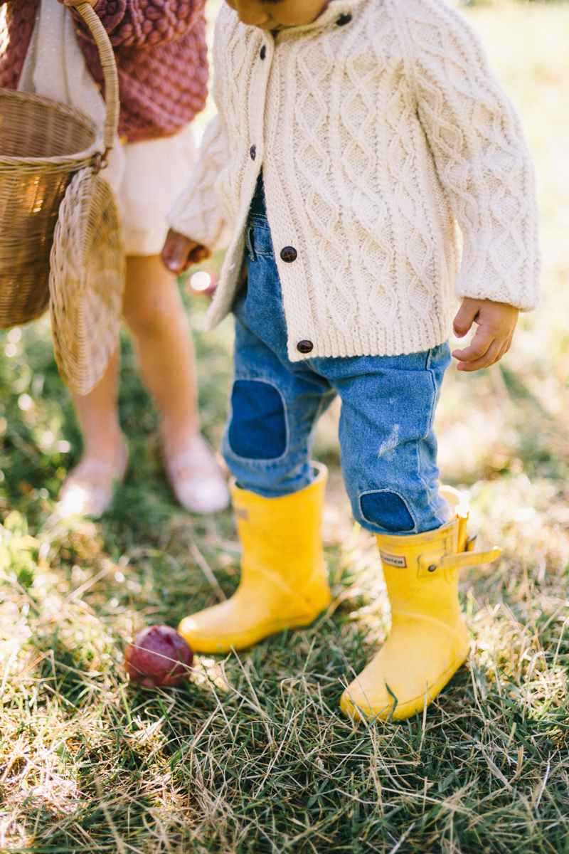 apple picking family portrait session maine