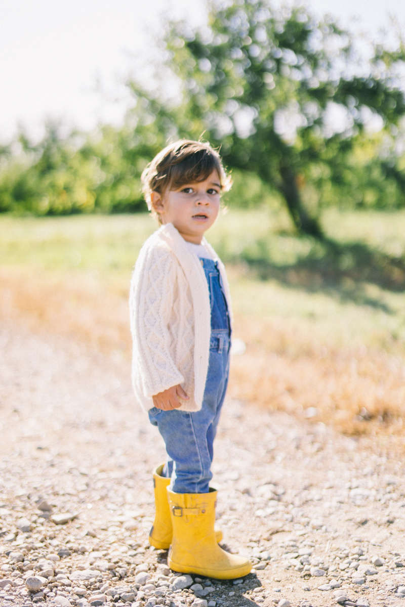 apple picking family portrait session