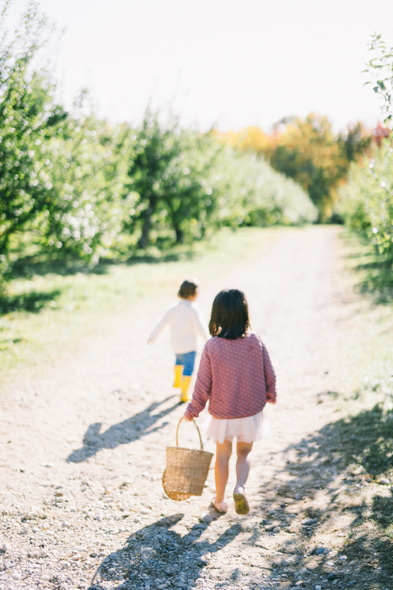 apple picking family portrait session maine