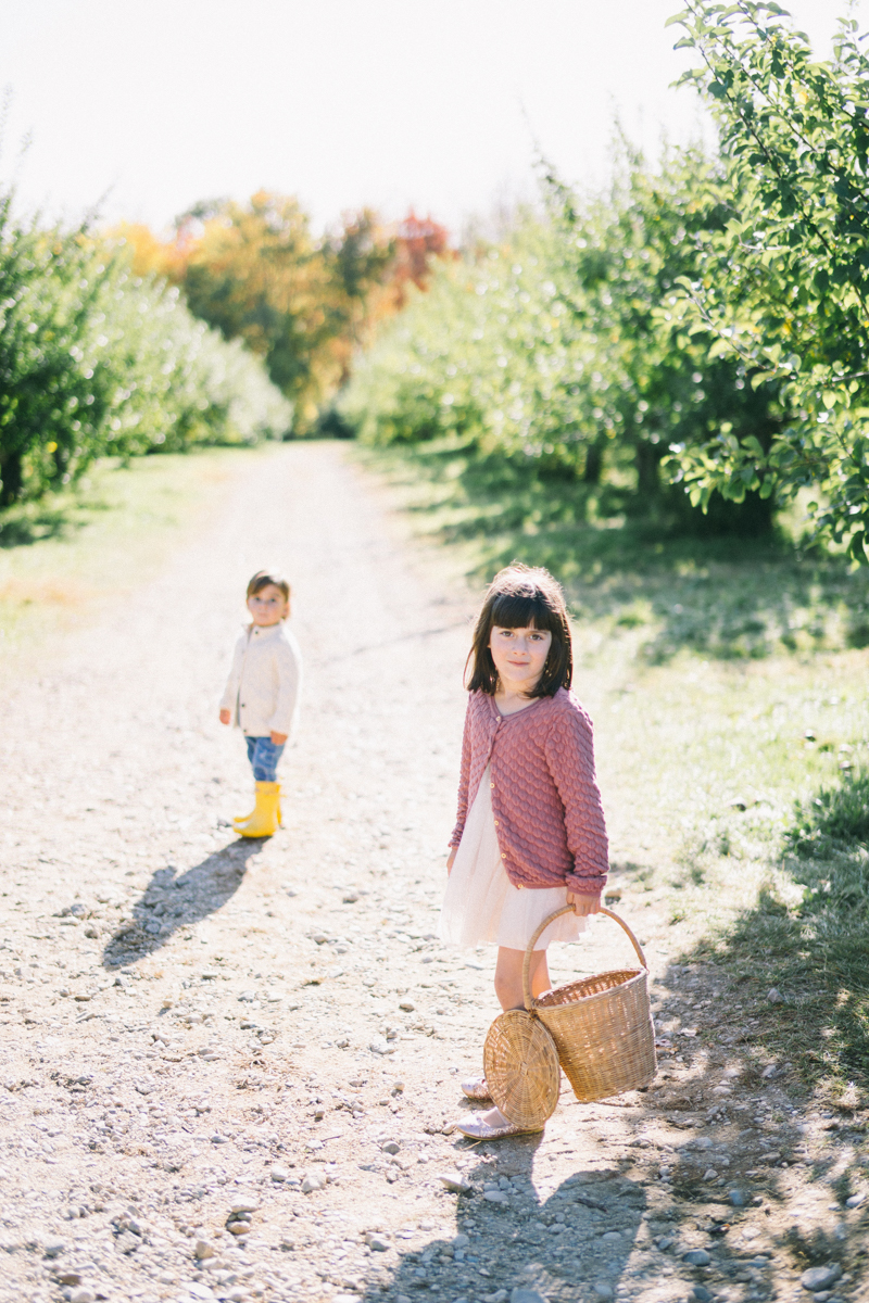 apple picking family portrait session maine