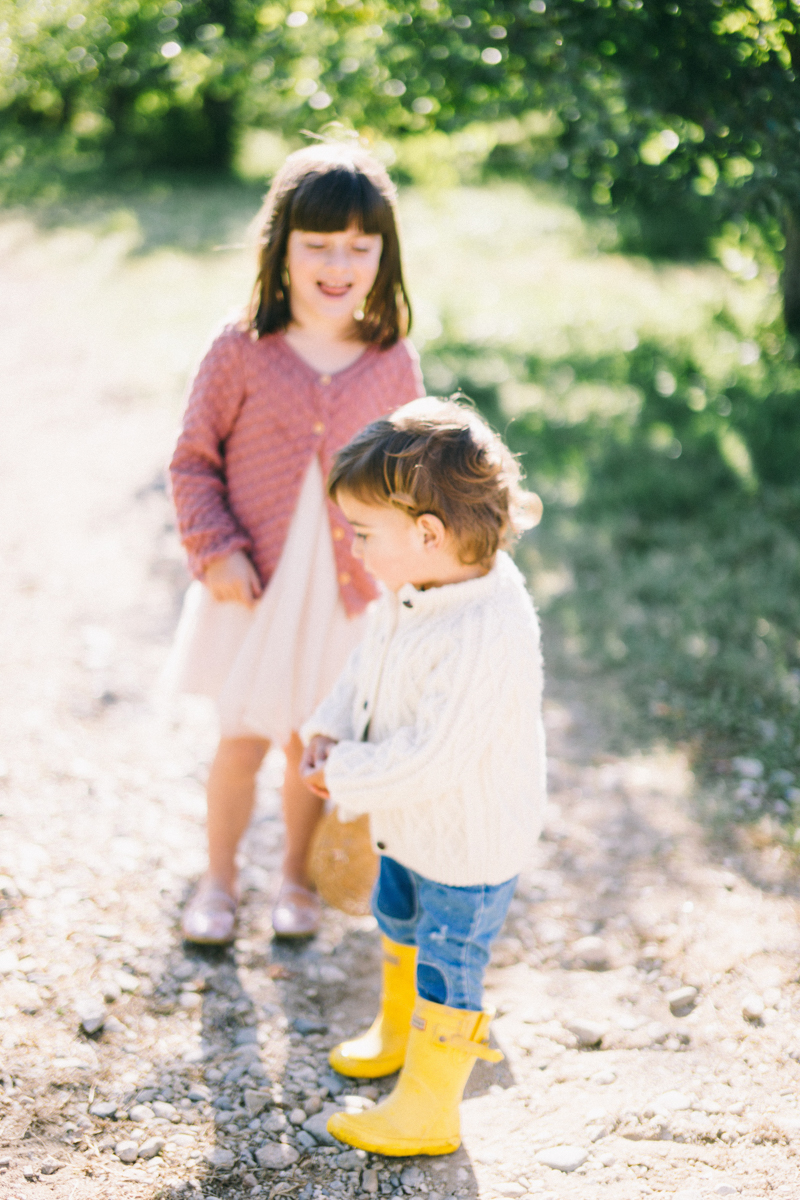 apple picking family portrait session maine