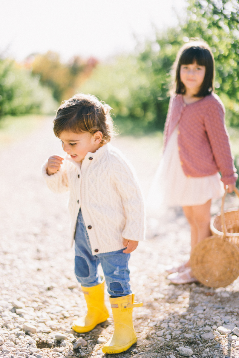 apple picking family portrait session maine