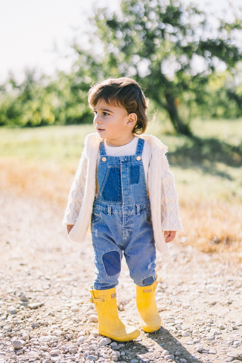 apple picking family portrait session