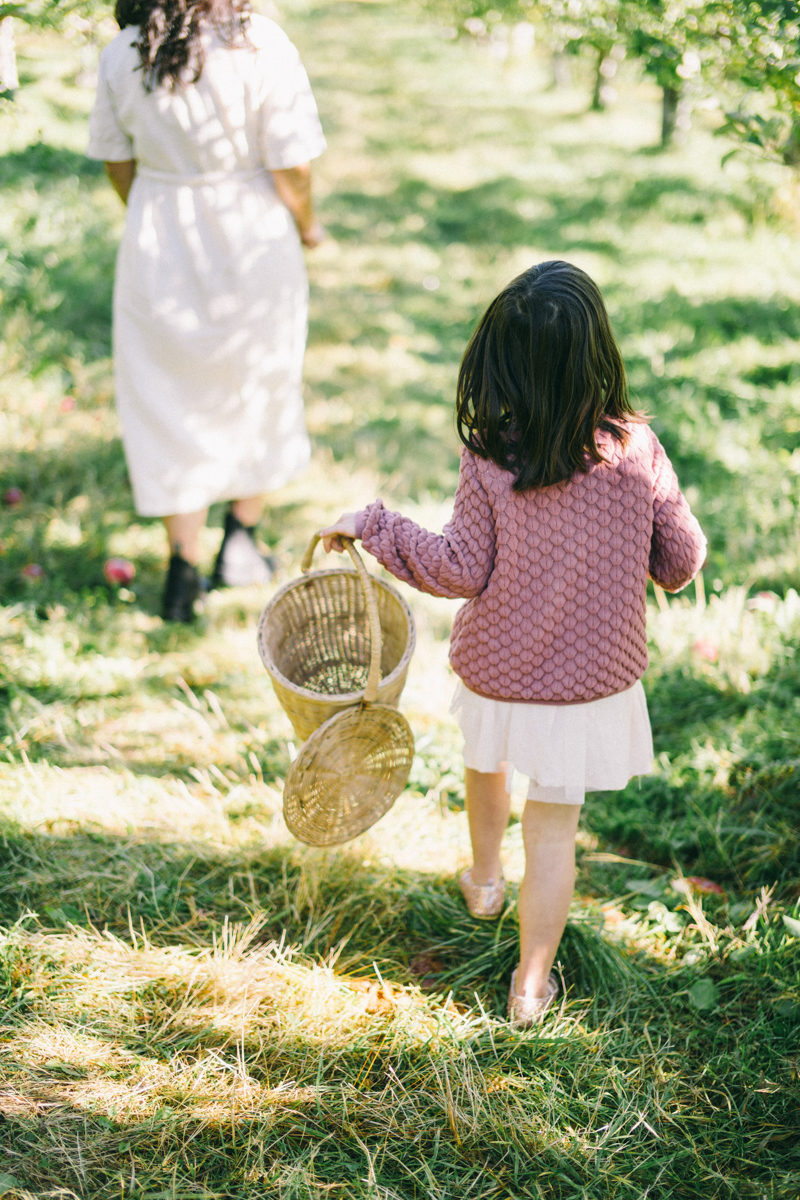 apple picking family portrait session maine