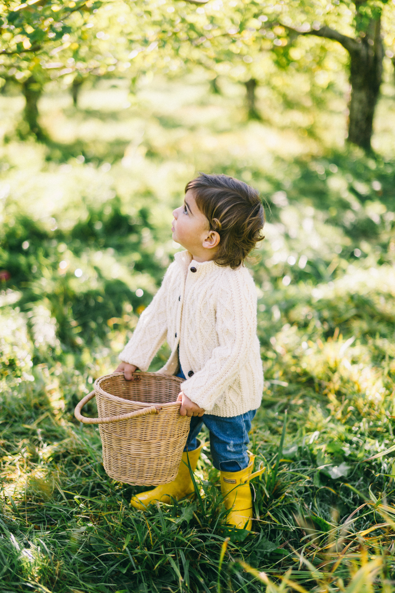 apple picking family portrait session maine