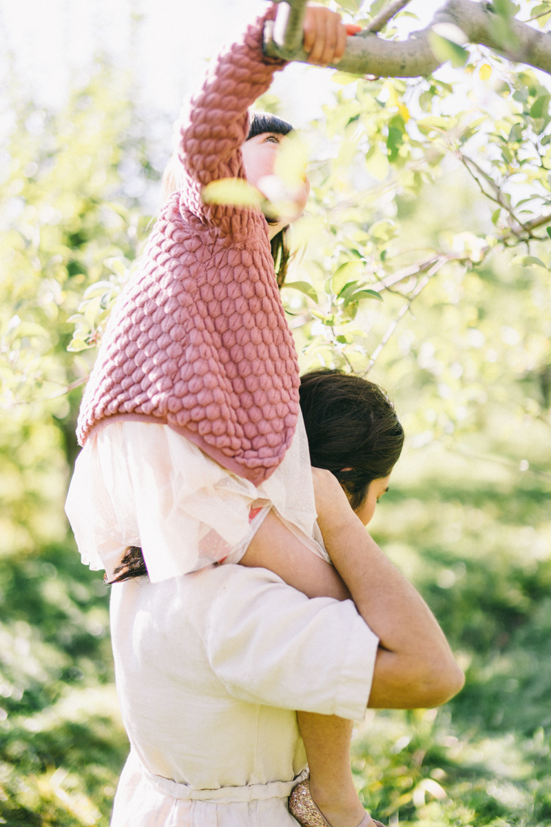 apple picking family portrait session maine