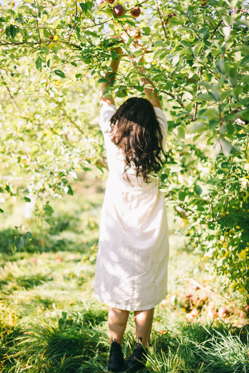 apple picking family portrait session maine