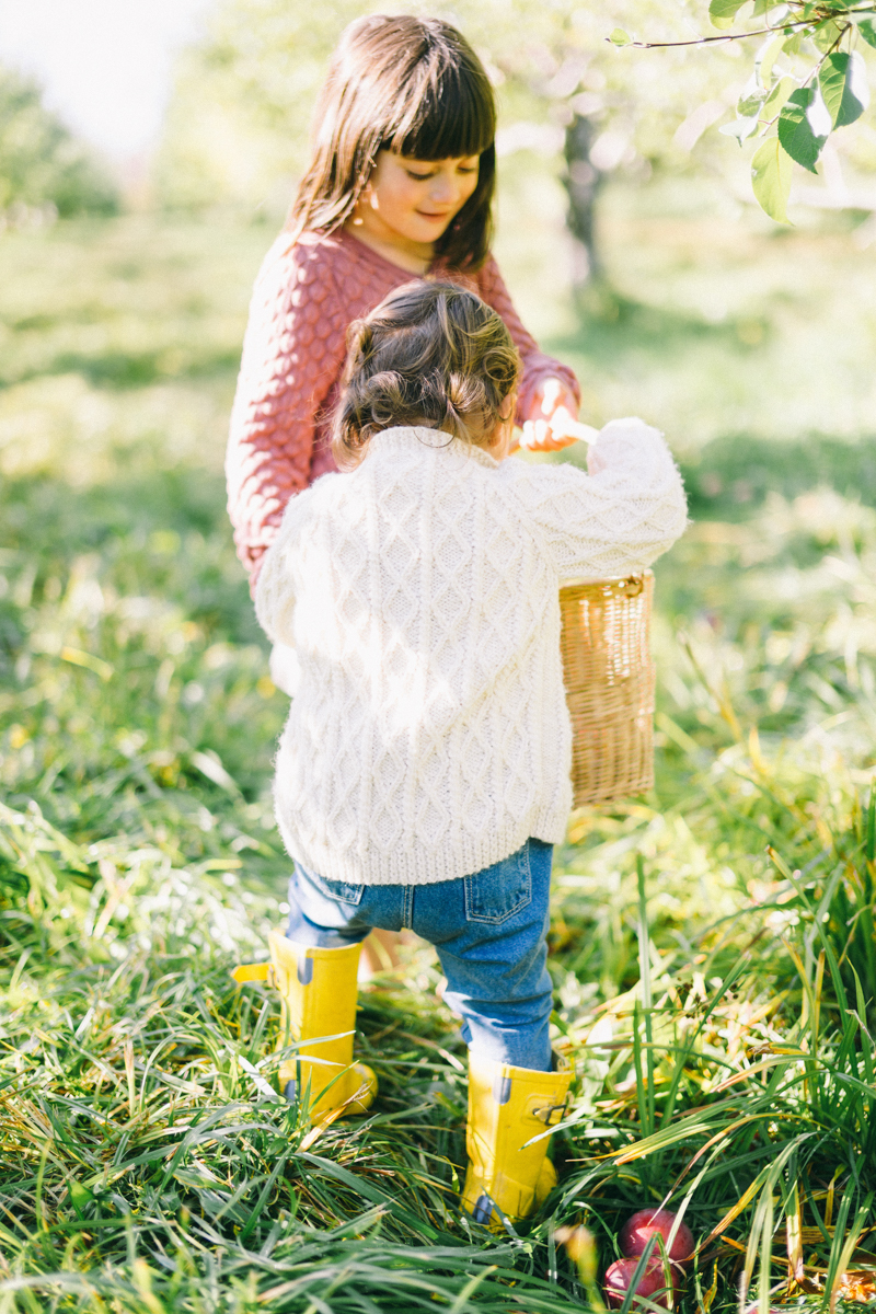 apple picking family portrait session maine