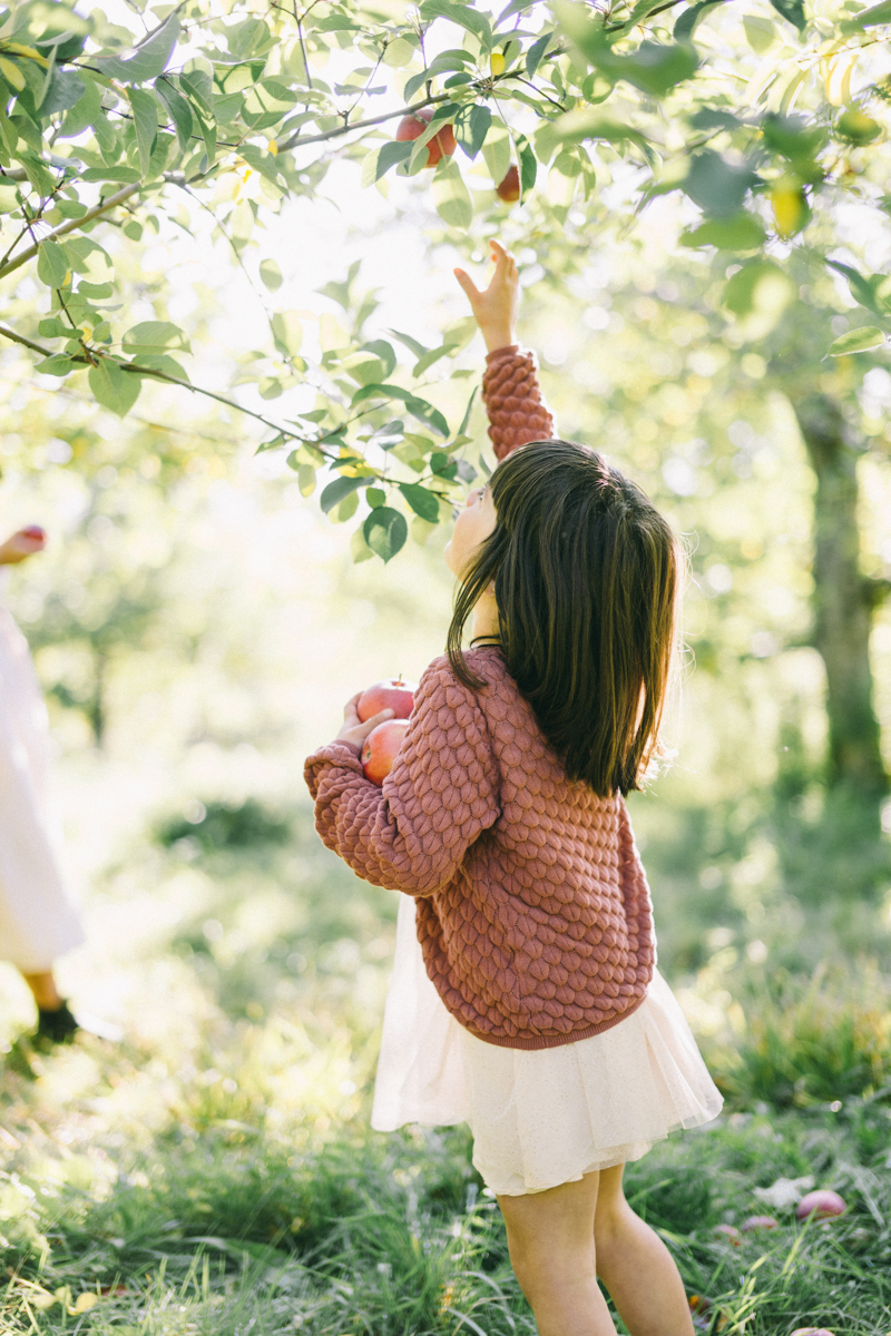 apple picking family portrait session maine