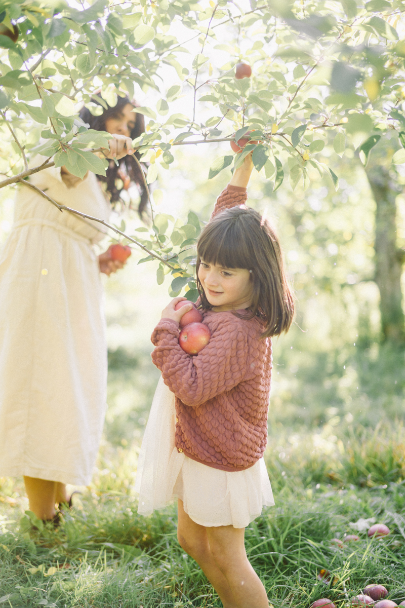 apple picking family portrait session maine