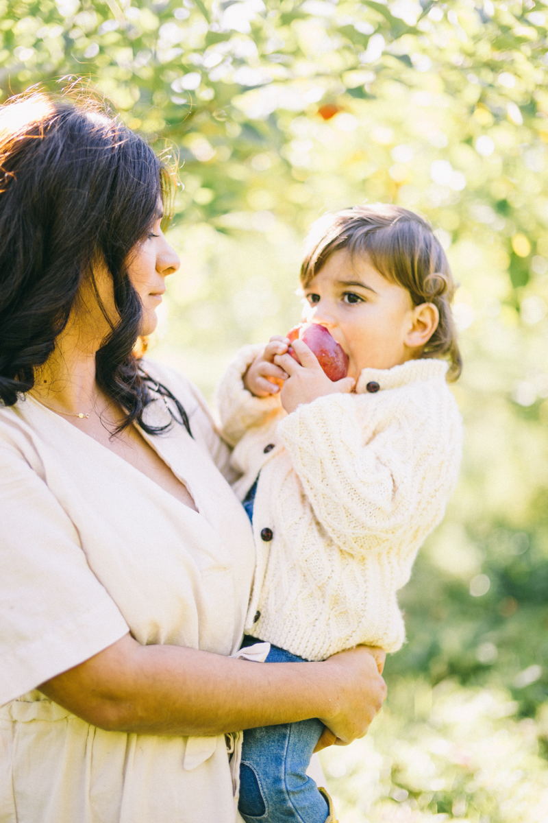 apple picking family portrait session maine