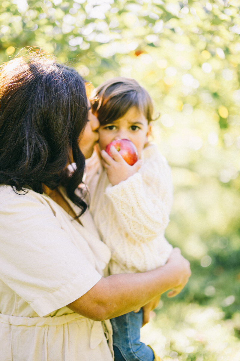 apple picking family portrait session maine