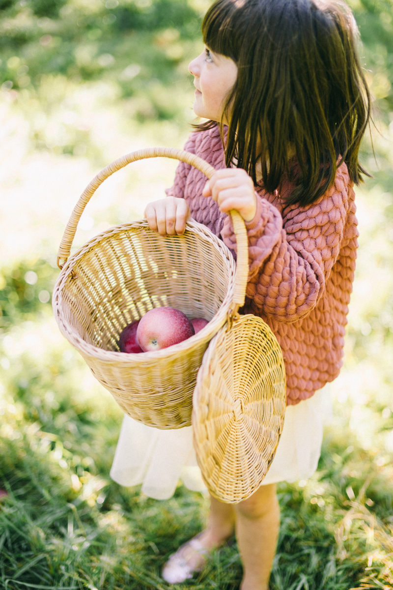 apple picking family portrait session maine