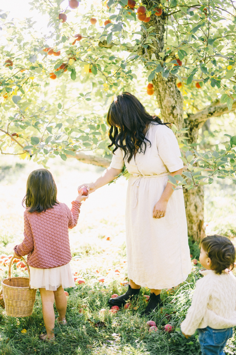 apple picking family portrait session maine