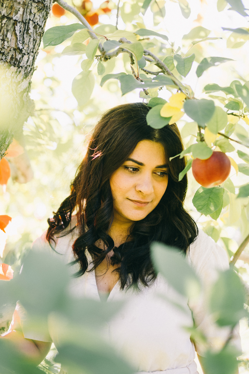 apple picking family portrait session maine