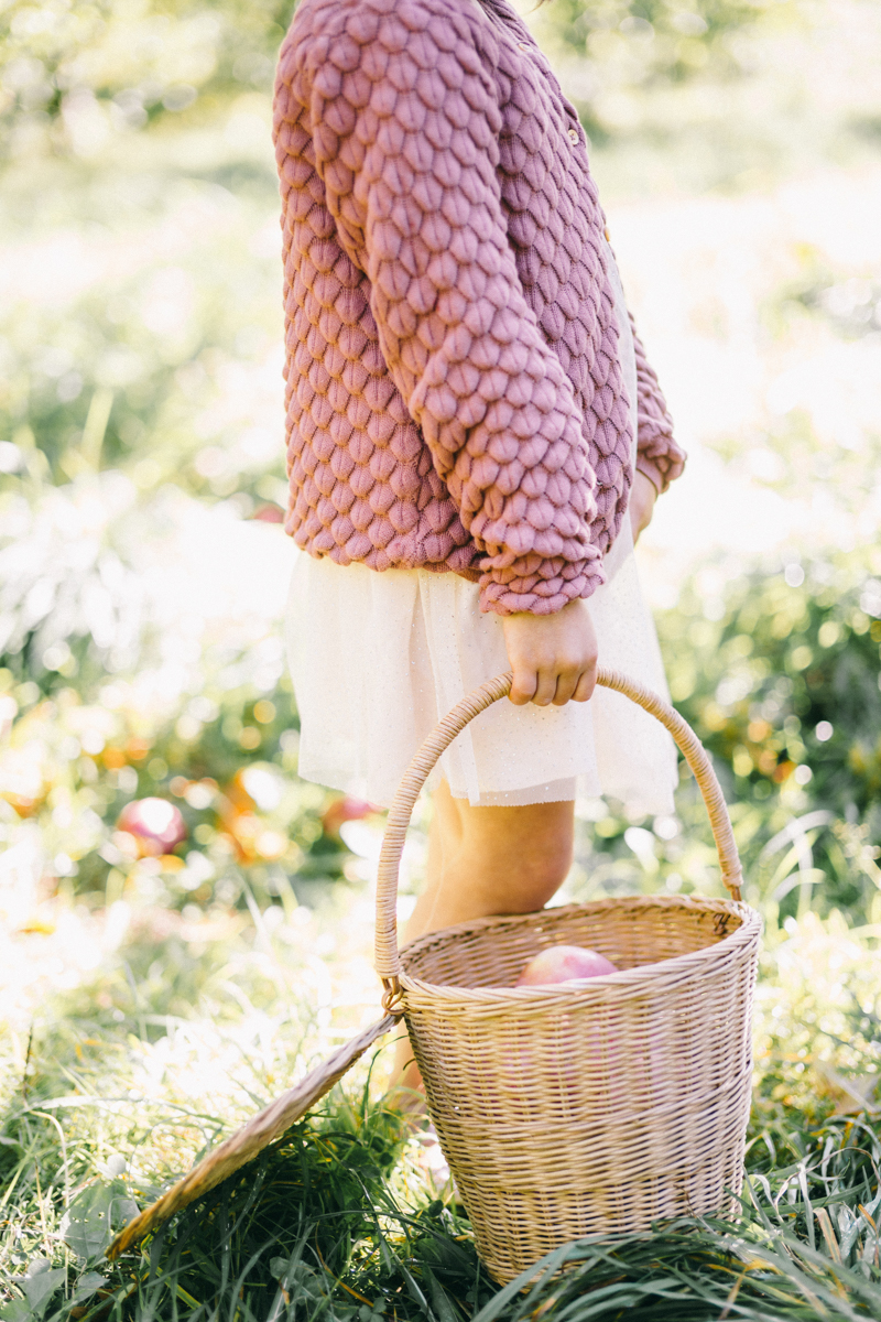 apple picking family portrait session maine