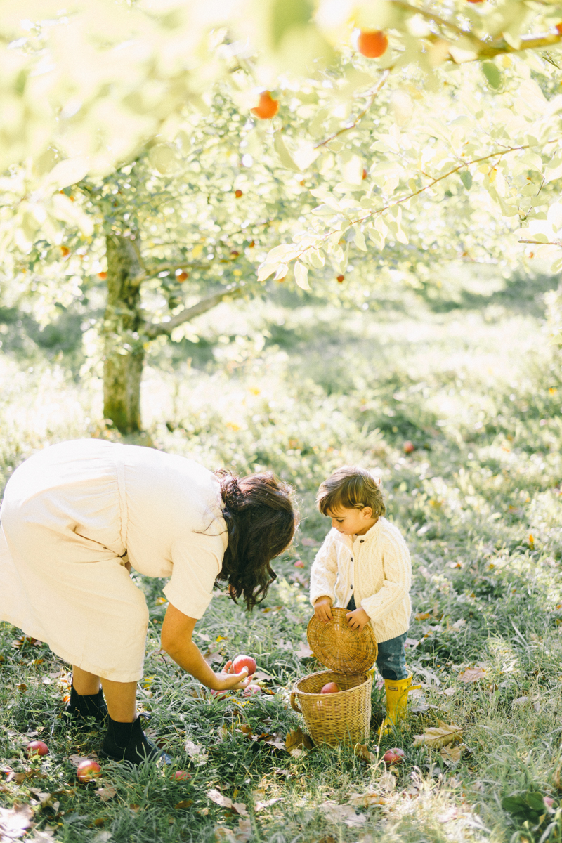 apple picking family portrait session maine