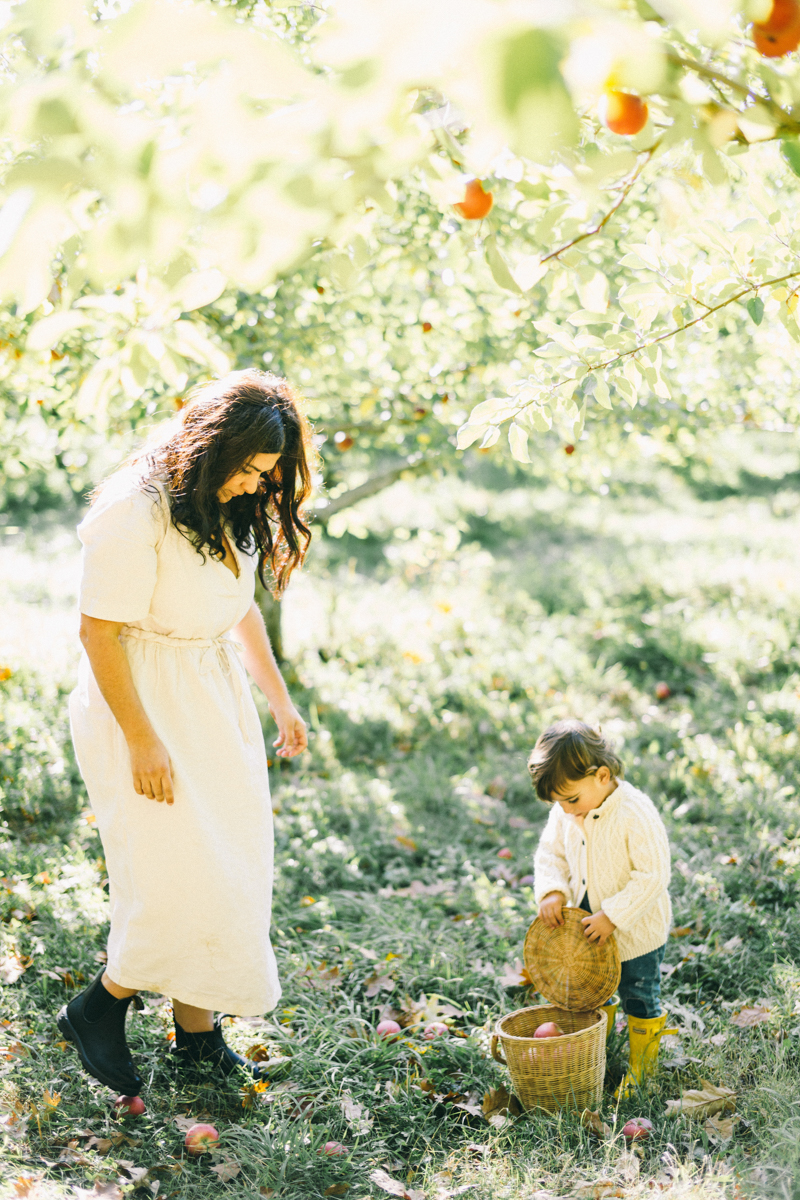 apple picking family portrait session maine