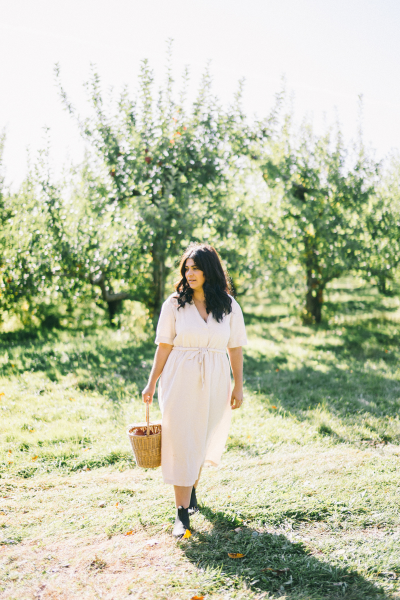 apple picking family portrait session maine