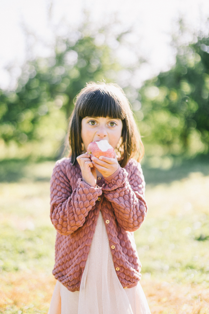 apple picking family portrait session maine