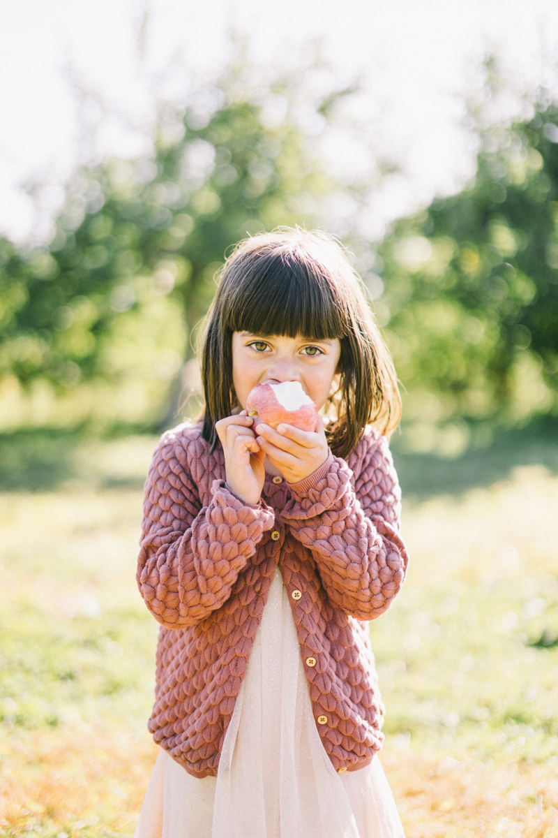 apple picking family portrait session maine