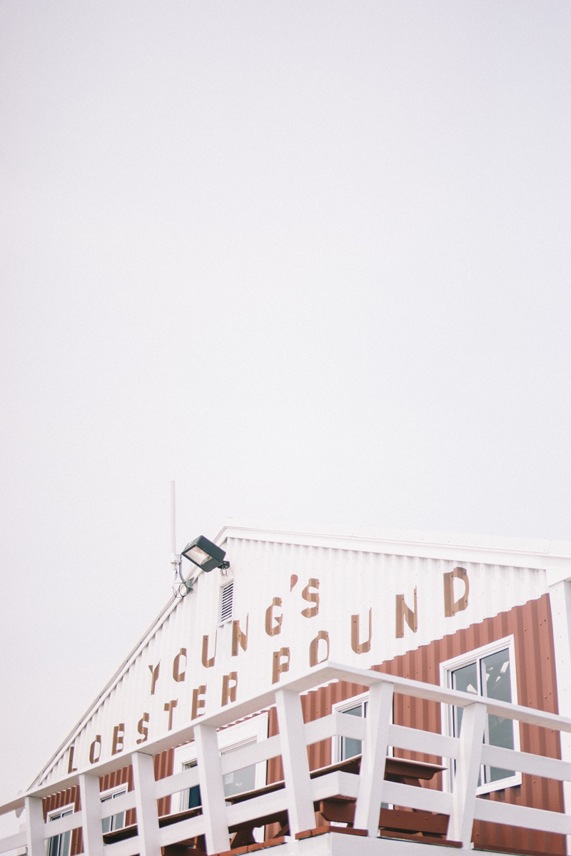 Lobster Bake Welcome Dinner | Mid-Coast Maine - Luxury Wedding Photographer