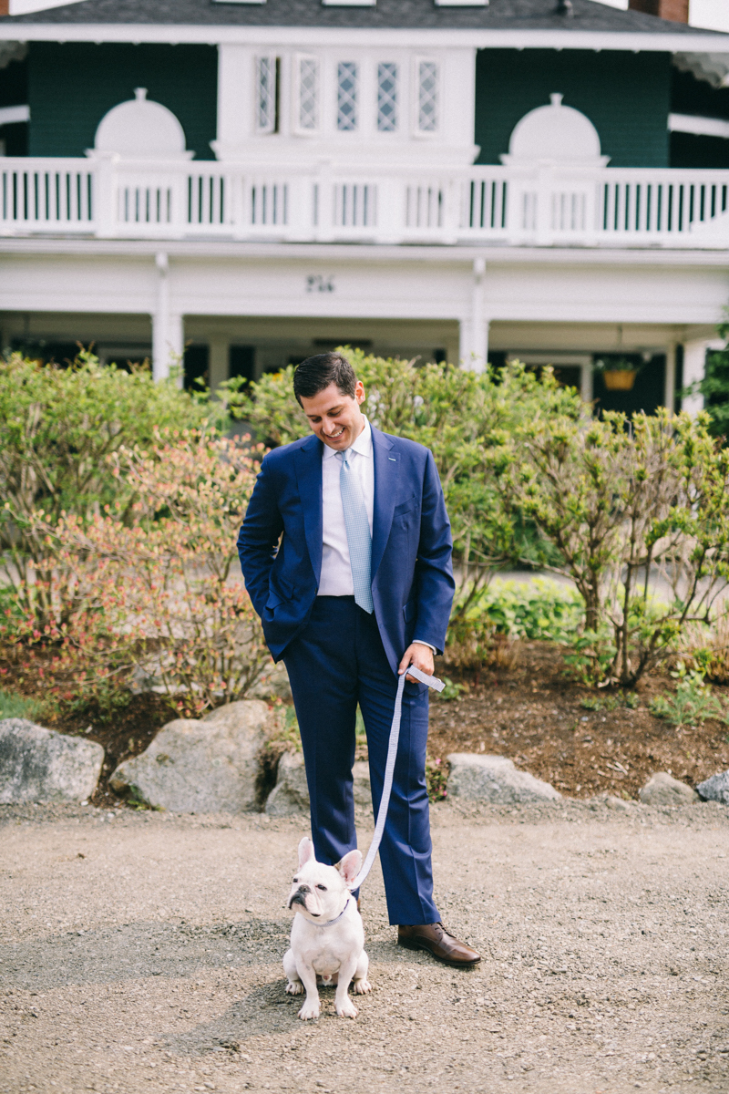 french bulldog maine wedding