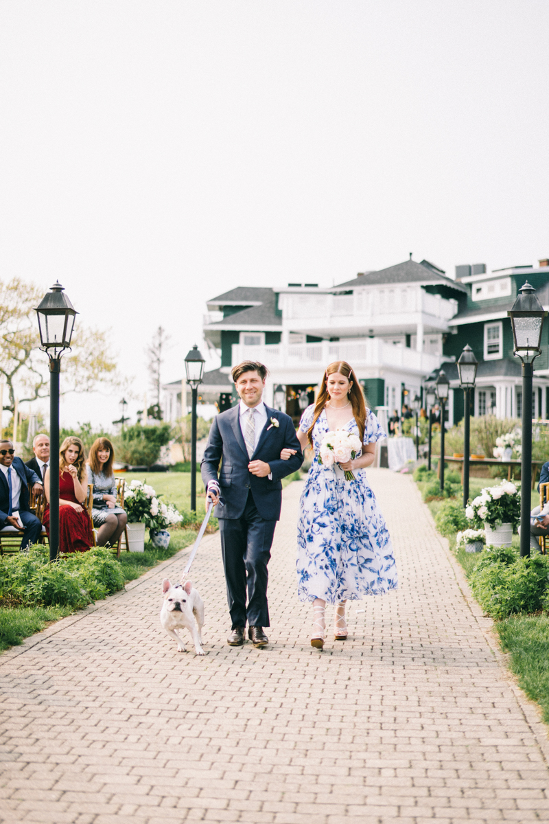 french bulldog wedding