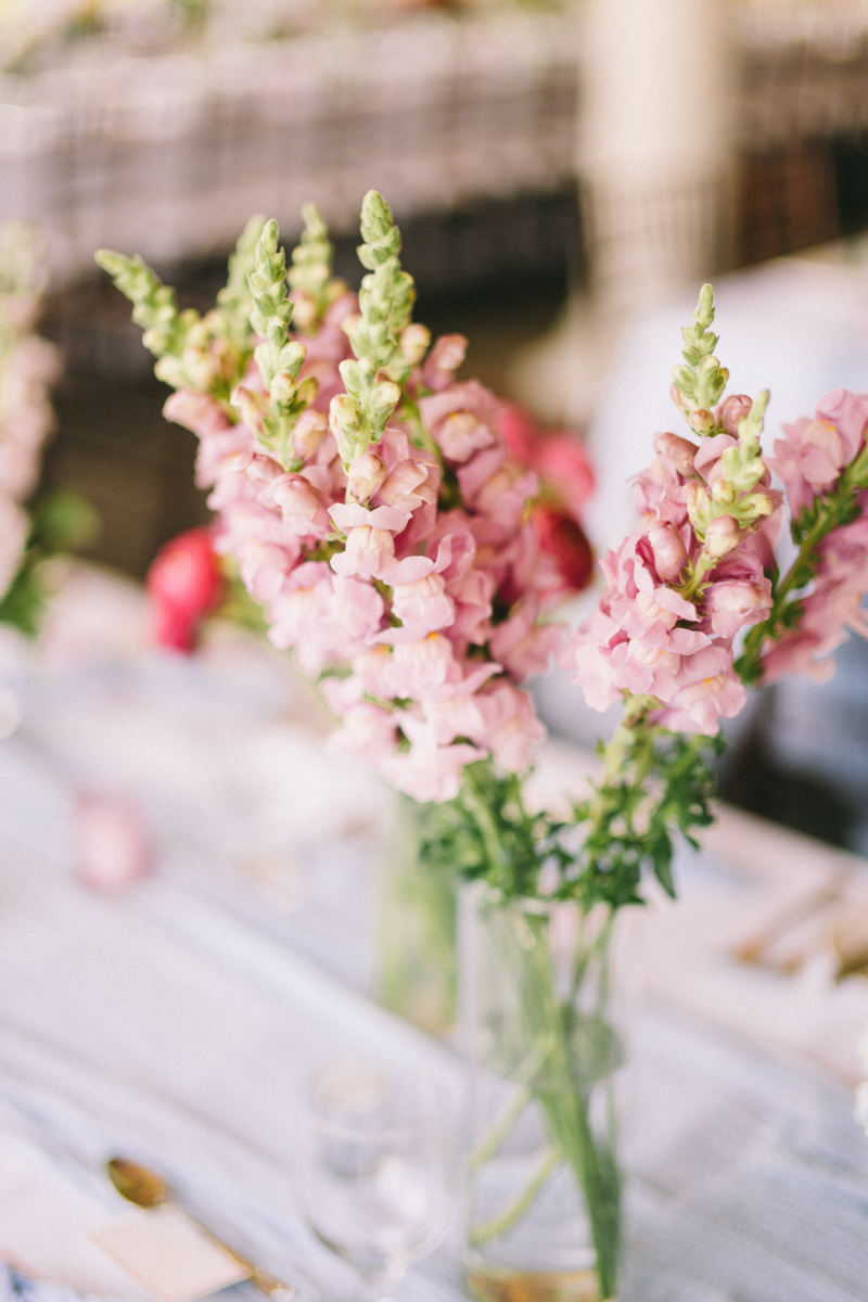 newport rhode island mansion wedding the chanler