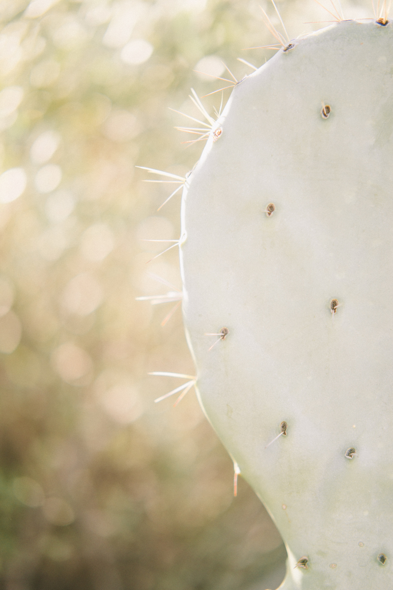 scottsdale wedding details