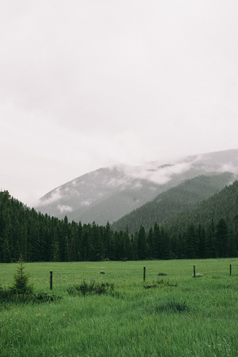 yellowstone national park luxury wedding