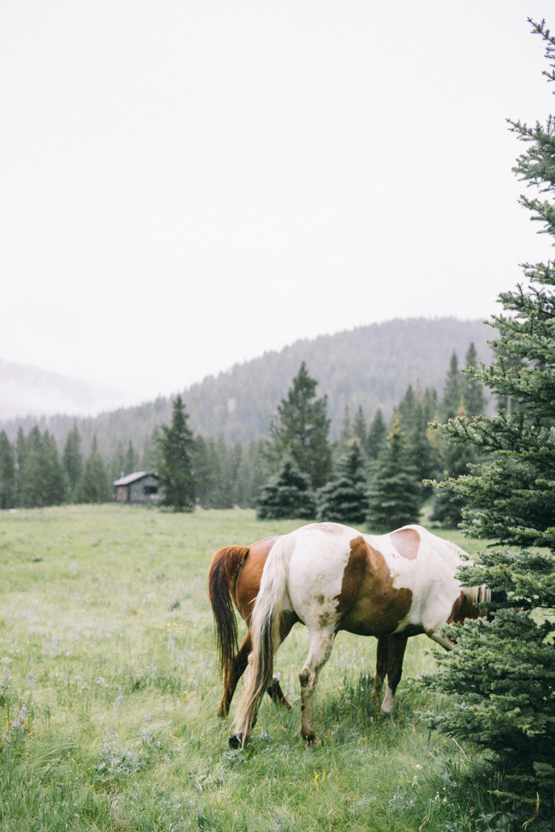 yellowstone national park luxury wedding