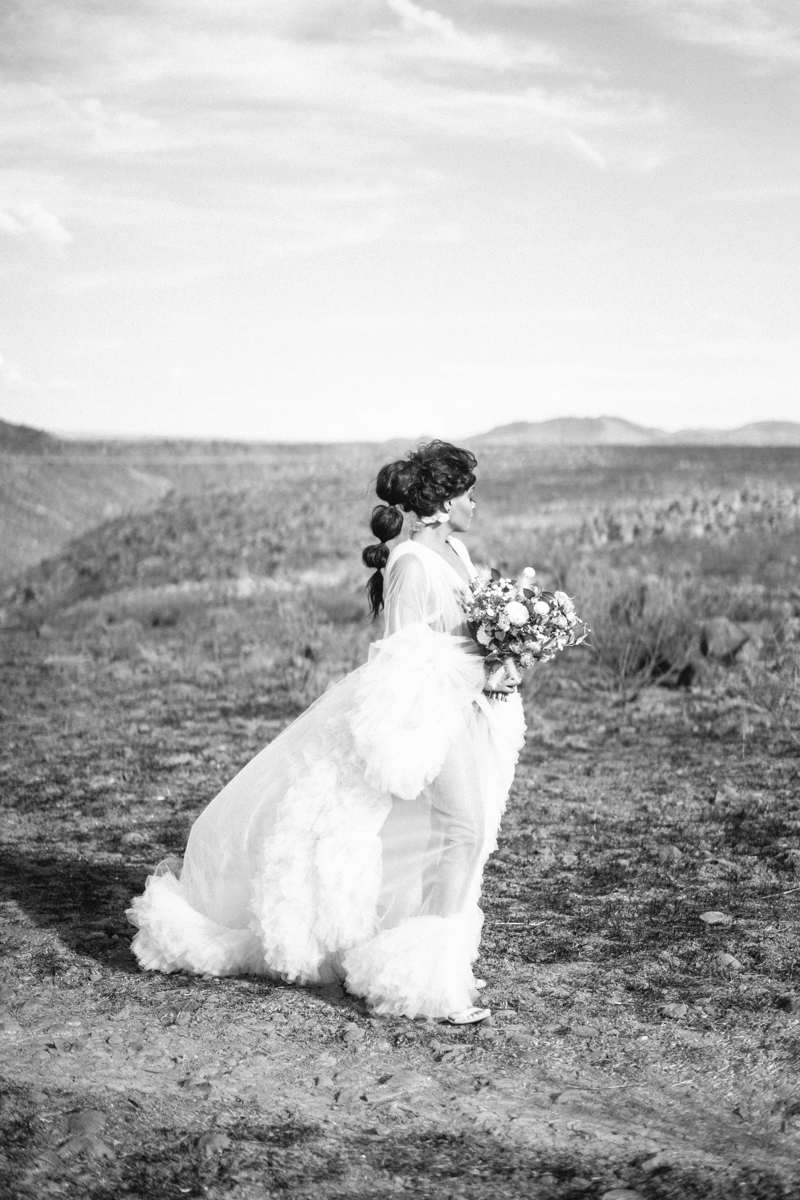 arizona editorial photos