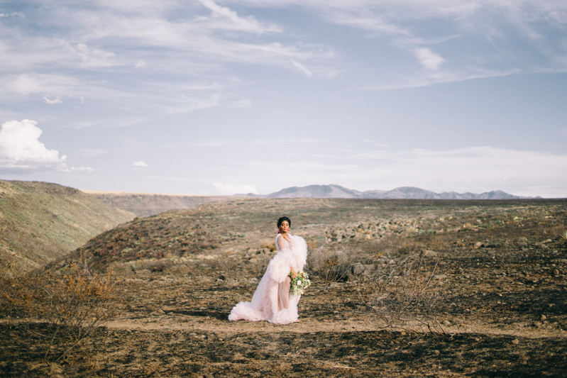 arizona editorial photos