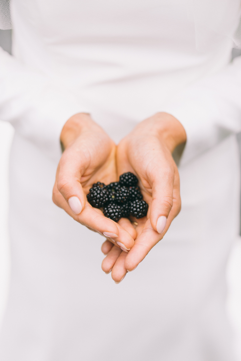 maine blackberries