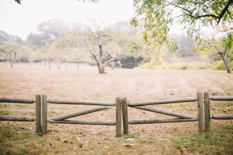 country maine wedding