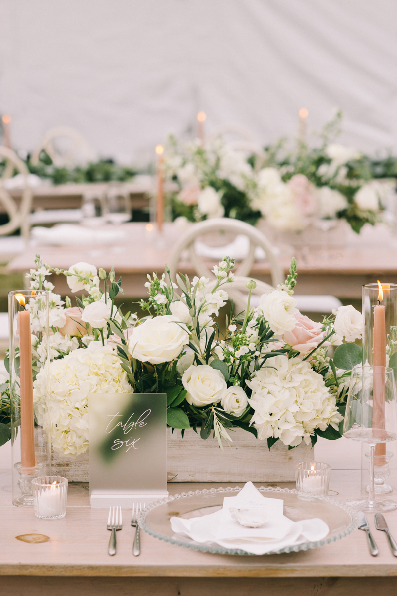 romantic blush and white wedding