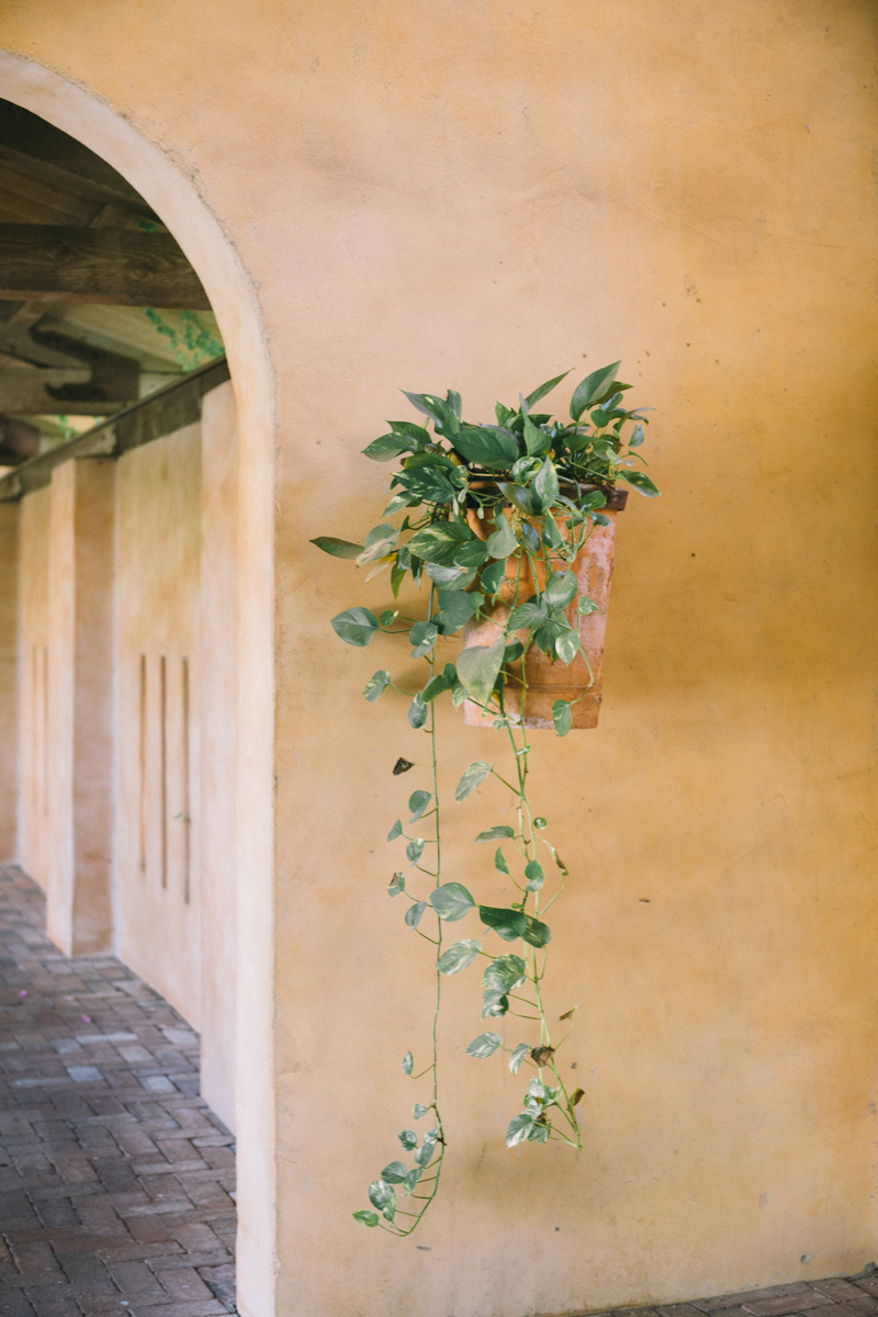 desert wedding venue