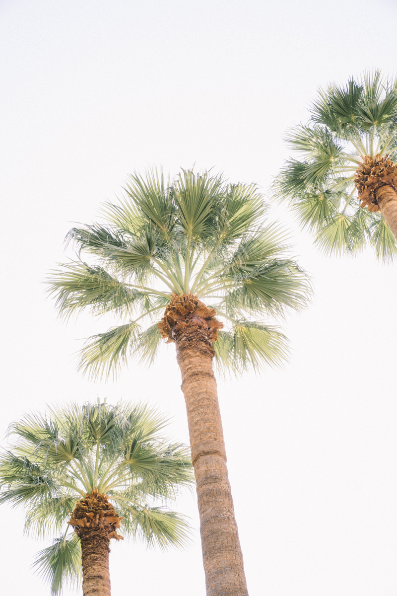 royal palms wedding venue phoenix arizona