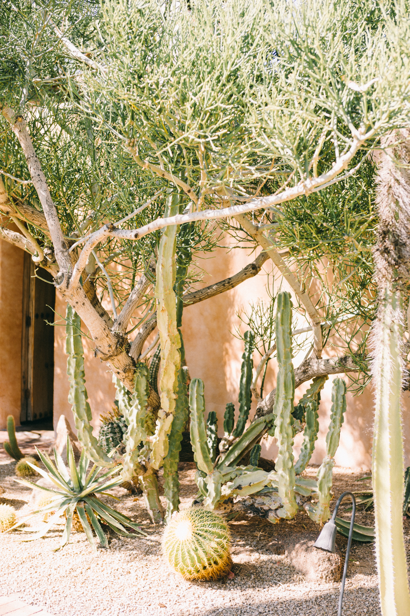 phoenix arizona wedding venue